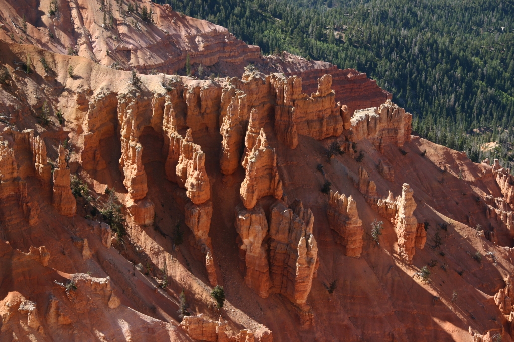 04 - Cedar Break (3).JPG